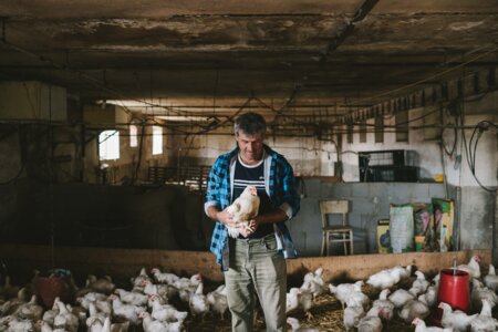Frankofarma