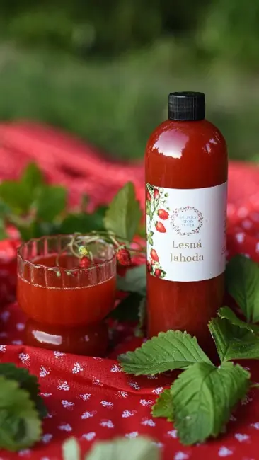 Bylinky spod Tatier